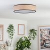 Plafonnier Parbiak LED Blanc, 1 lumière