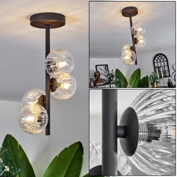 Plafonnier - Verre Chehalis Clair, 4 lumières Plafonnier - Verre Chehalis Clair, 4 lumières