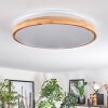 Plafonnier Sofo LED Blanc, 1 lumière, Télécommandes
