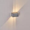 Applique murale d'extérieur Tamarin LED Gris, 1 lumière