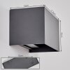Applique murale d'extérieur Tamarin LED Anthracite, 1 lumière