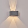 Applique murale d'extérieur Tamarin LED Anthracite, 1 lumière