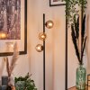Lampadaire - Verre Remaisnil Ambre, Fumé, 3 lumières