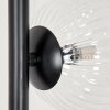 Lampadaire - Verre Remaisnil Clair, 5 lumières