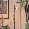 Lampadaire - Verre Remaisnil Clair, 5 lumières