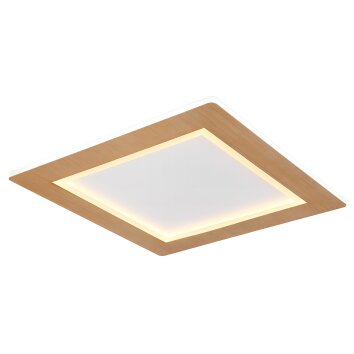 Plafonnier Globo CLAY LED, 1 lumière