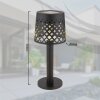 Lampe de table Globo SOLAR LED Noir, Transparent, 1 lumière