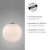 Suspension Paul-Neuhaus BOLO LED Argenté, 1 lumière