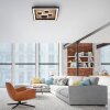 Plafonnier Paul-Neuhaus ELIZA LED Écru, Noir, 1 lumière