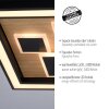 Plafonnier Paul-Neuhaus ELIZA LED Écru, Noir, 1 lumière