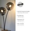Lampe de table Leuchten-Direkt GREEN WIDOW Écru, Noir, 2 lumières