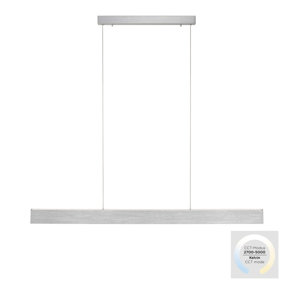 Suspension Paul-Neuhaus NANIA LED Argenté, 1 lumière main product photo