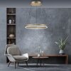 Suspension Paul-Neuhaus PURE E-LOOP LED Or, 2 lumières, Télécommandes