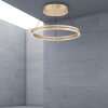 Suspension Paul-Neuhaus PURE E-LOOP LED Or, 2 lumières, Télécommandes