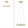 Suspension Paul-Neuhaus PURE E-LOOP LED Or, 2 lumières, Télécommandes