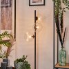 Lampadaire - Verre 15 cm Remaisnil Clair, 3 lumières