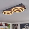 Plafonnier Taboneira LED Brun foncé, Noir, 2 lumières