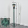 Borne lumineuse Loria Vert, Noir, 1 lumière