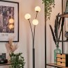 Lampadaire - Verre 10 cm Bernado Blanc, 3 lumières