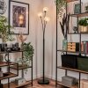 Lampadaire Bernado Argenté, 3 lumières