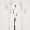 Lampadaire - Verre 12 cm Bernado Blanc, 3 lumières
