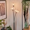 Lampadaire - Verre 15 cm Bernado Clair, 3 lumières