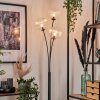 Lampadaire - Verre 15 cm Bernado Clair, 3 lumières