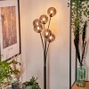 Lampadaire - Verre 12 cm Bernado Fumé, 6 lumières Lampadaire - Verre 12 cm Bernado Fumé, 6 lumières