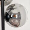 Lampadaire - Verre 15 cm Remaisnil Clair, Fumé, 6 lumières