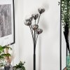 Lampadaire - Verre 12 cm Bernado Clair, Fumé, 6 lumières