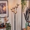 Lampadaire - Verre 12 cm Bernado Clair, Fumé, 6 lumières
