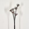 Lampadaire - Verre 12 cm Bernado Clair, Fumé, 6 lumières