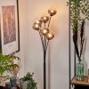 Lampadaire - Verre 12 cm Bernado Clair, Fumé, 6 lumières