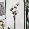 Lampadaire - Verre 10 cm Bernado Clair, Fumé, 6 lumières
