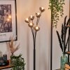 Lampadaire - Verre 10 cm Bernado Clair, Fumé, 6 lumières