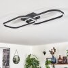 Plafonnier Silla LED Noir, 1 lumière