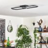 Plafonnier Silla LED Noir, 1 lumière
