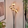 Lampadaire - Verre 10 cm Bernado Fumé, 5 lumières