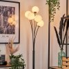 Lampadaire - Verre 12 cm Bernado Blanc, 5 lumières