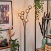 Lampadaire - Verre 10 cm Bernado Clair, Fumé, 6 lumières