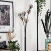 Lampadaire - Verre 10 cm Bernado Clair, Fumé, 6 lumières