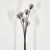 Lampadaire - Verre 10 cm Bernado Clair, Fumé, 6 lumières