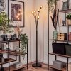 Lampadaire - Verre 10 cm Bernado Ambre, 6 lumières