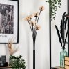 Lampadaire - Verre 10 cm Bernado Ambre, Clair, 6 lumières