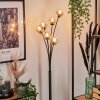 Lampadaire - Verre 10 cm Bernado Ambre, Clair, 6 lumières