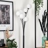 Lampadaire - Verre 12 cm Bernado Blanc, 6 lumières