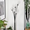 Lampadaire - Verre 10 cm Bernado Clair, 6 lumières