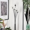 Lampadaire - Verre 10 cm Bernado Clair, 5 lumières