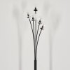 Lampadaire - Verre 10 cm Bernado Clair, 5 lumières