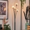 Lampadaire - Verre 10 cm Bernado Clair, 5 lumières